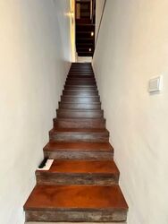 Joo Chiat Place (D15), Detached #578833251